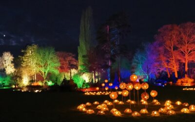 Our visit to Wisley Glow – 20th December 2023